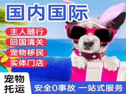 正定机场托运国际宠物托运 【国